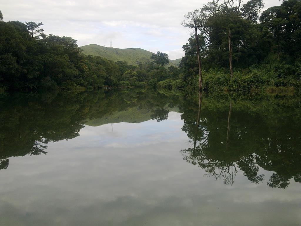 Periyar Woods Panzió Thekkady Kültér fotó