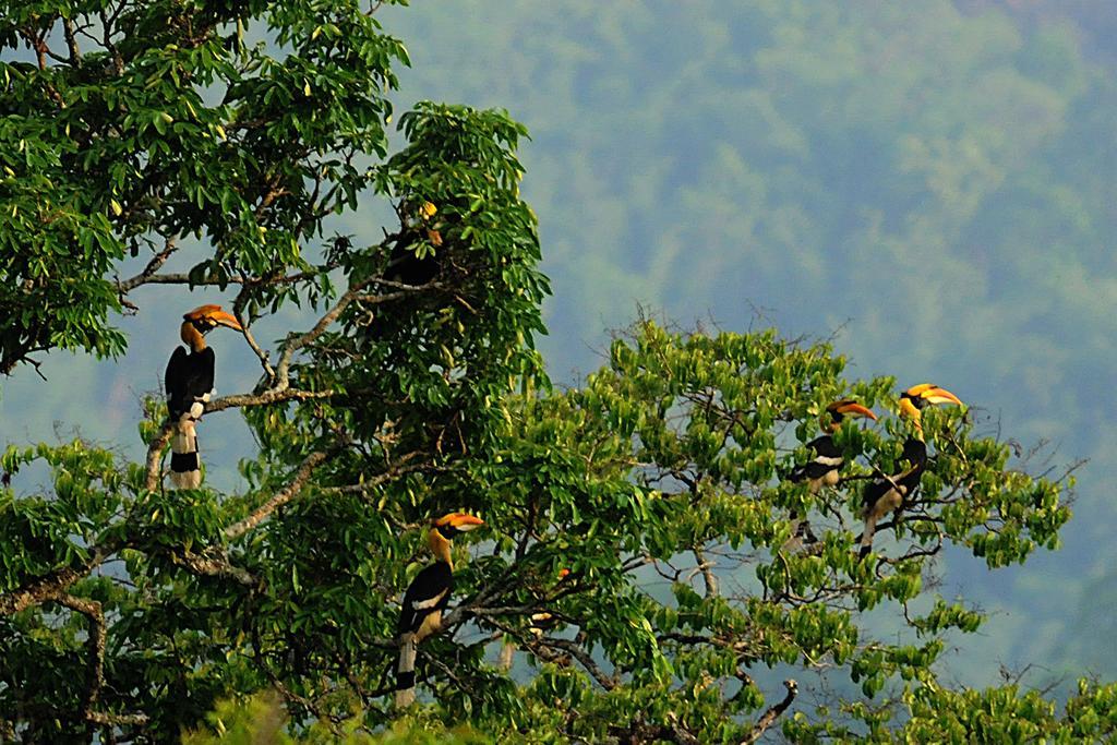 Periyar Woods Panzió Thekkady Kültér fotó
